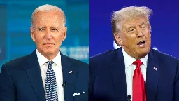 Trump leads Biden by 4 points among swing state voters: poll
