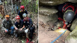 Dog rescued after being trapped for three days in cave with bear